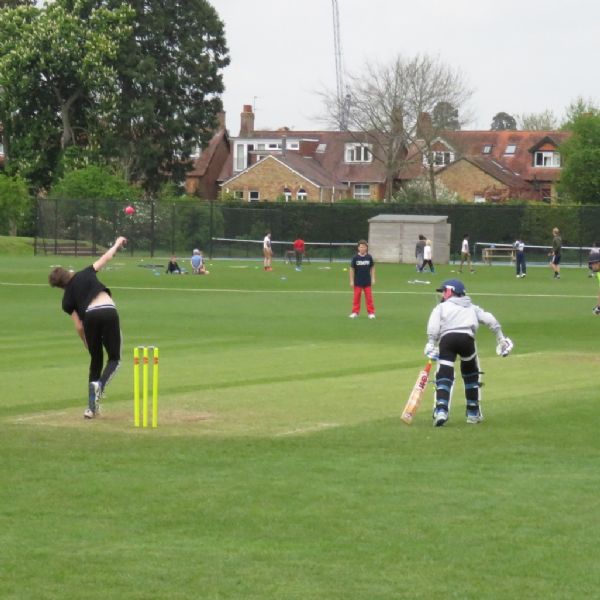 Big Bash 2017 (6)